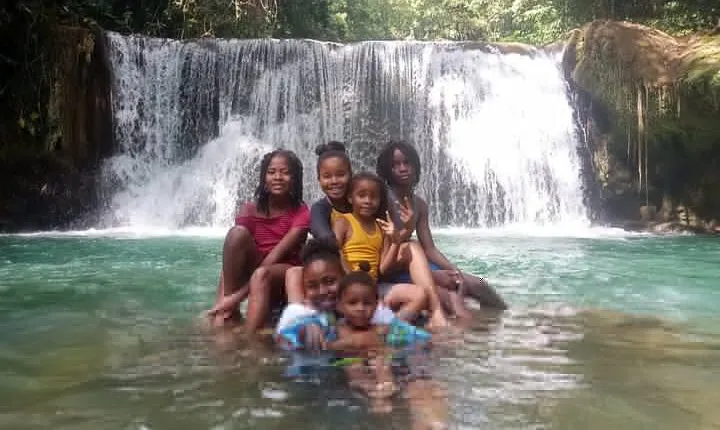 South Coast Tour to YS Falls, Black River Safari and Appleton Rum
