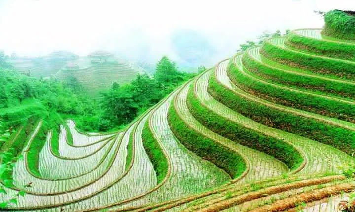 1-Day Longsheng Rice Terrace Tour from Guilin with Private Guide & Driver