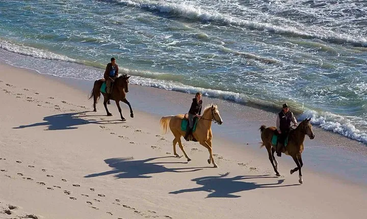 Horseback Riding Tour from Punta Cana