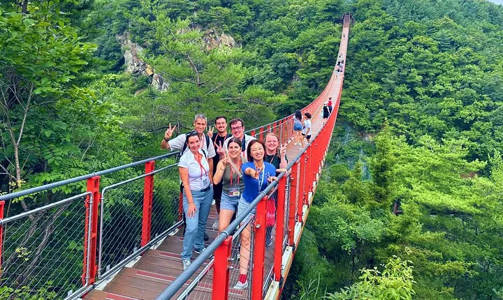 2025 Travelers’ Choice Best of the Best: DMZ Tour from Seoul