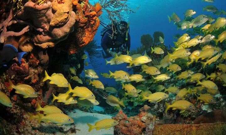Discover scuba diving in Búzios