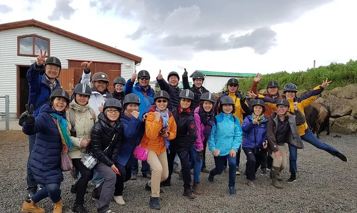 Red Lava Horse Riding Tour From Reykjavik