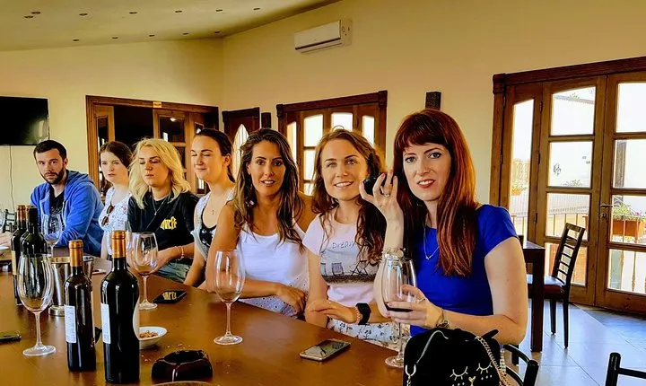 Full-Day Private Wine Tasting Tour