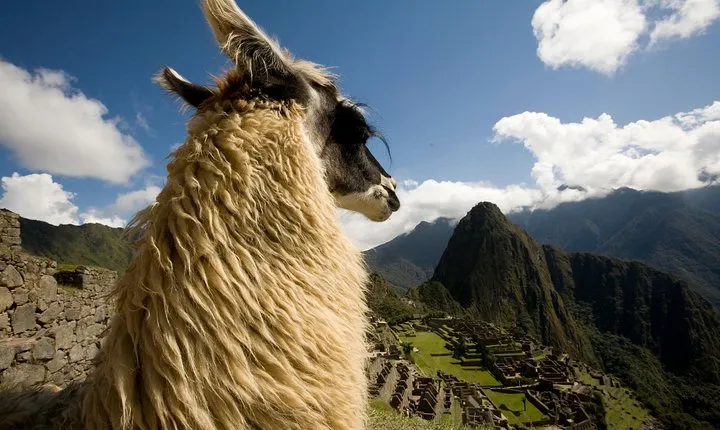 Machu Picchu Day Trip First Class Train option from Poroy