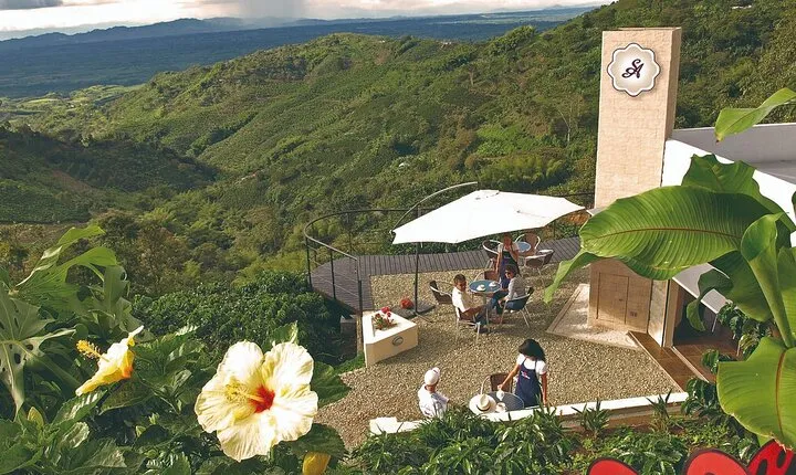 Coffee Farm Experience at Hacienda San Alberto from Salento