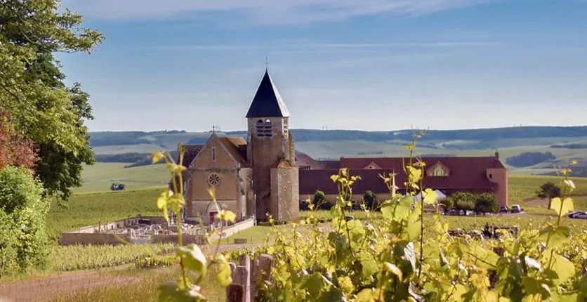 Private Burgundy 3 Domaines Chateau Pommard Chablis 15 Wines Trip from Paris.