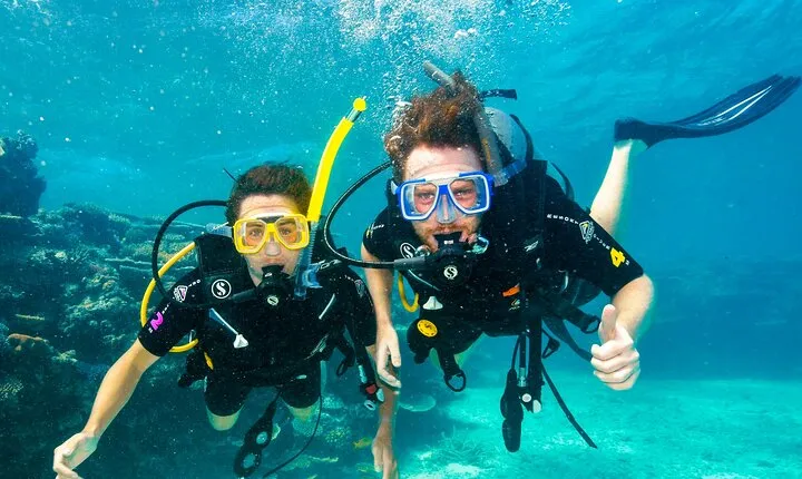 Premium Guided Dive Trip - Outer Great Barrier Reef
