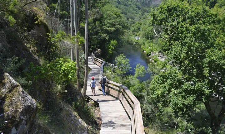 Paiva Walkways and Alvarenga Small-Group from Porto