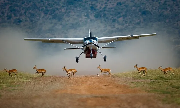 3-Day Masai Mara Private Flying Safari with 4x4 Game Drives