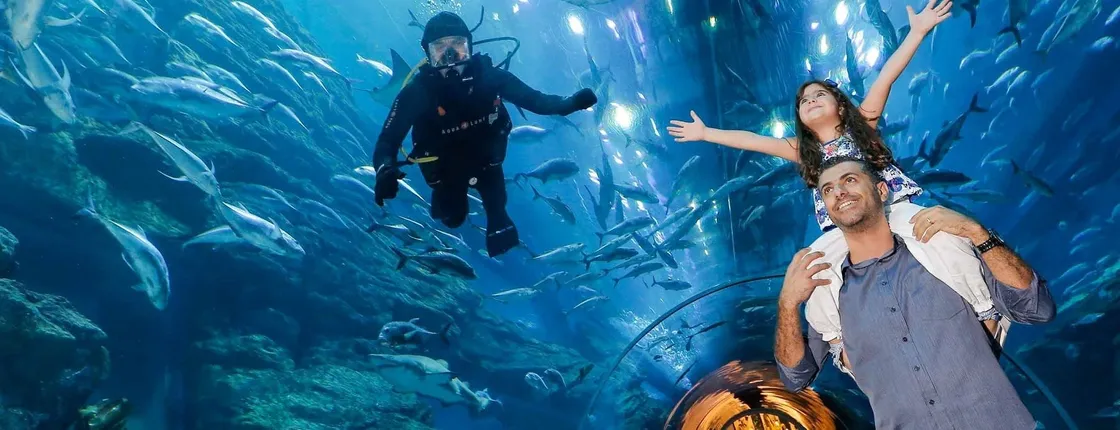 Dubai Aquarium and Underwater Zoo Regular Pass