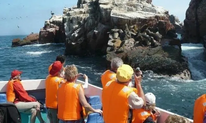 Paracas Full Day (Ballestas Islands)