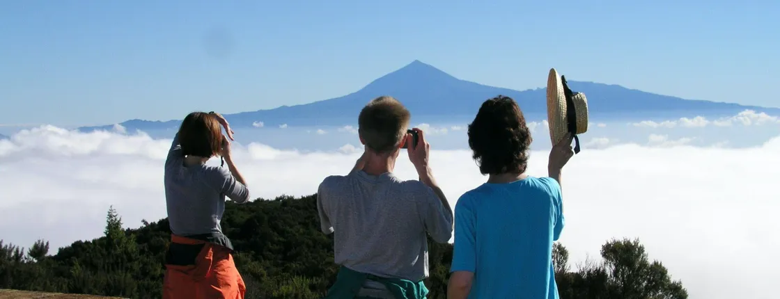 La Gomera Rainforest Hike