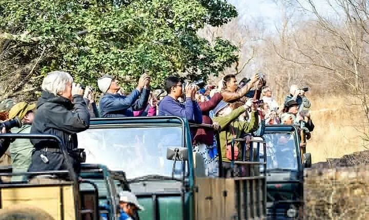8-Day Private Transport for Golden Triangle Tour With Ranthambore