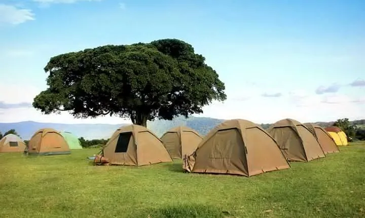 4-Day Budget Tarangire, Serengeti, Ngorongoro Safari Guided Tour