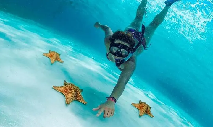 Explore El Cielo in Cozumel. Snorkel in 3 different reefs & visit Cielito Beach.