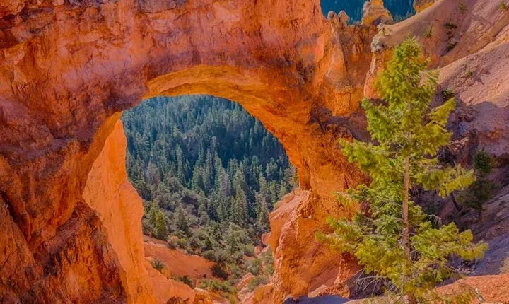 3 Day Tour to Bryce Canyon National Park