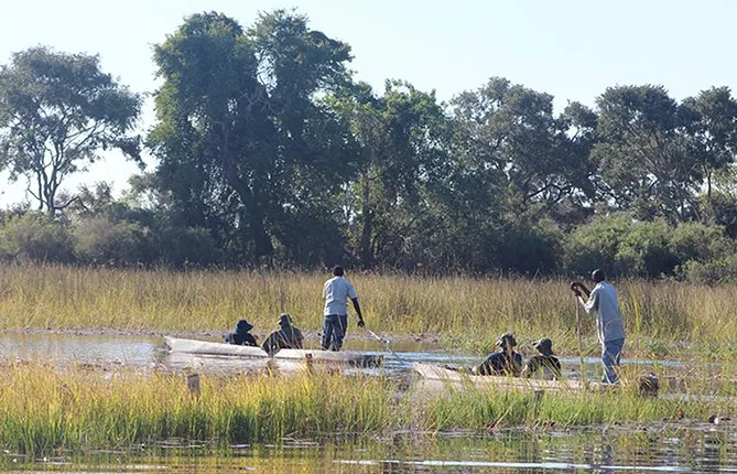 One Day Mokoro Safari