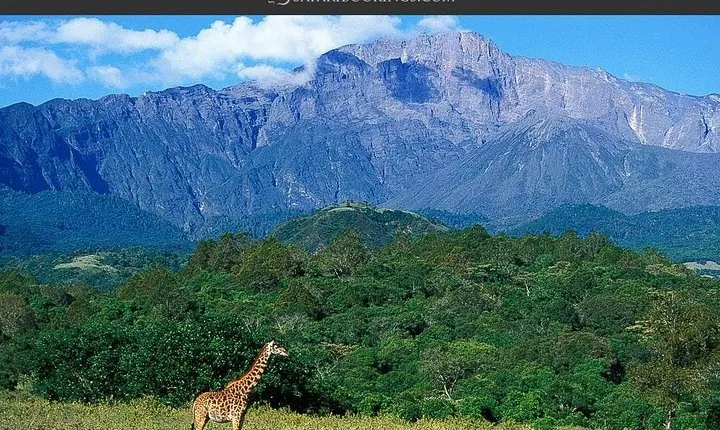 4 Days Private Safari Ngorongoro Crater,Tarangire, Manyara, Arusha National Park