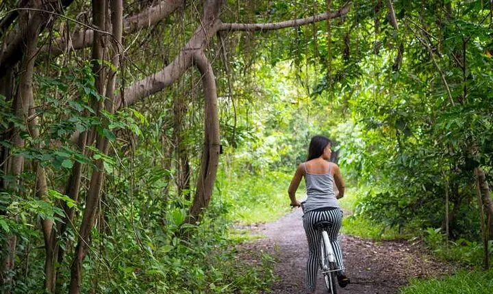 Explore Bangkok’s Best Parks on Two Wheels