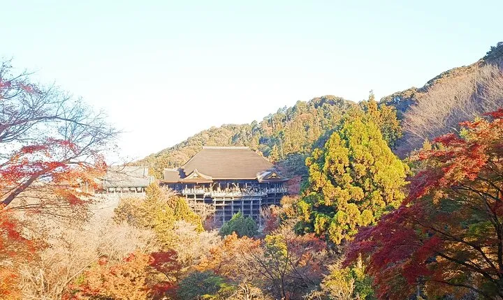 Guided Kyoto Trail Higashiyama Fushimi Inari To Kiyomizudera