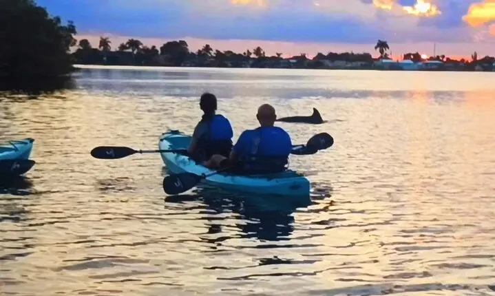 Kayak Tours and Rentals. Dolphins, Manatees, and Bioluminescence!