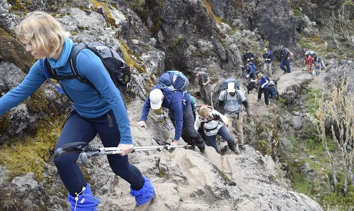 Machame Route 6 days 5 Nights/Kilimanjaro Climb