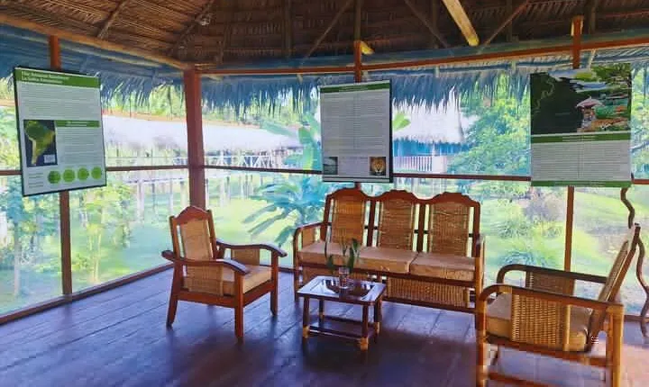 5-Day Primary Rainforest Adventure at Curassow Amazon Lodge