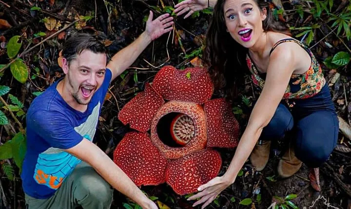 Tambunan Rafflesia Rainforest Reserve Tour from Kota Kinabalu