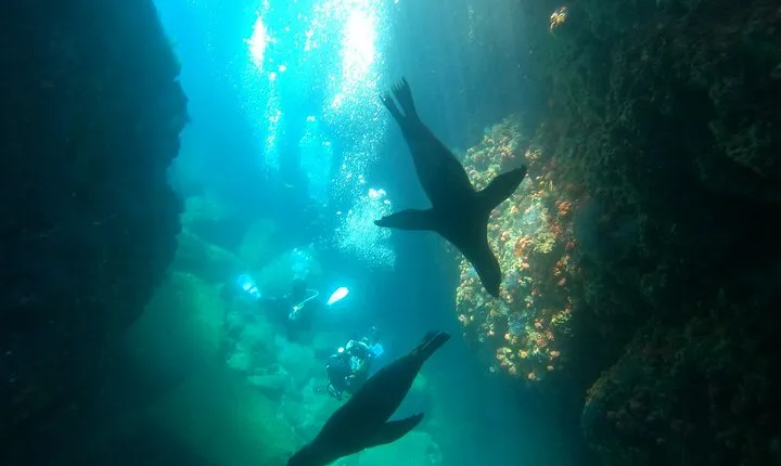 Espiritu Santo Island Snorkeling and Beach Hopping