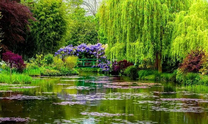 Giverny - Claude Monet's House & Gardens - Private Trip
