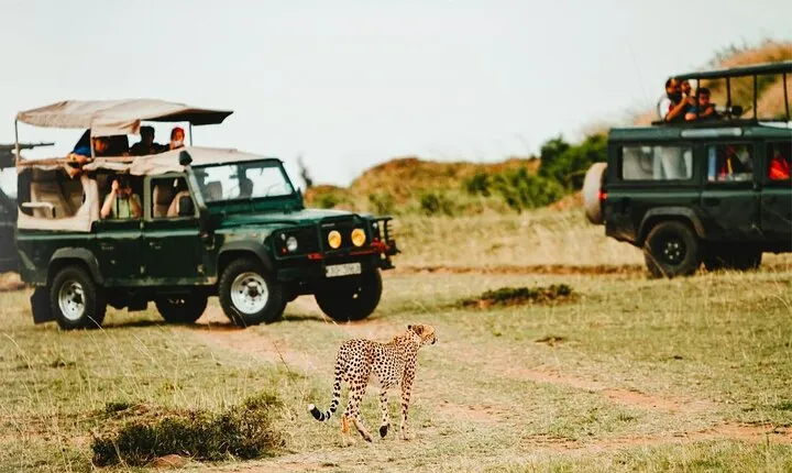 4 Days Luxury Serengeti & Ngorongoro Safari Tour