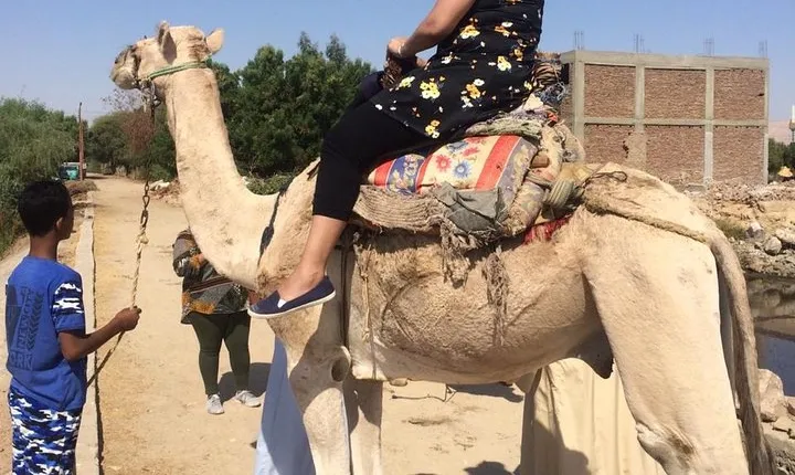 Best of Egypt: 7-Nights Cairo, Aswan, Luxor and Nile Cruise with Flights