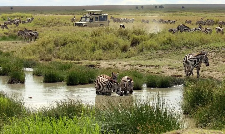 Big Five Luxury 7 Days Safari Tour in Arusha