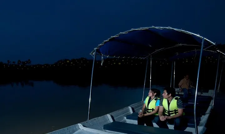 Private Tour: Kuala Selangor Firefly Blinkings including Seafood Dinner