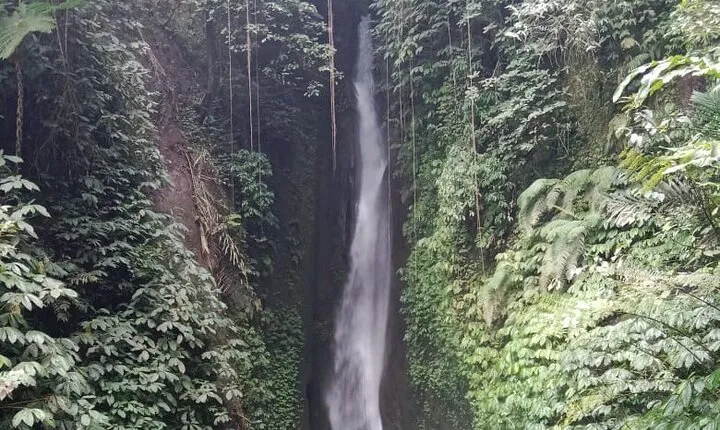 Private Tour from Leke-Leke Waterfall to Jatiluwih Rice Terrace