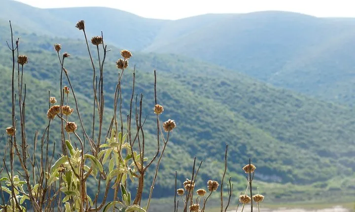 Full day tour in the southern part of Vlora