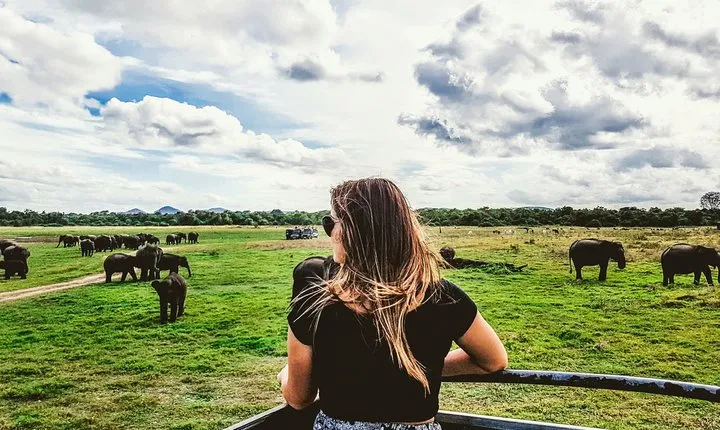 Kaudulla National Park Shared Safari
