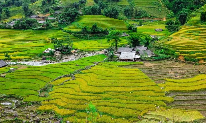 Sapa Trekking Tours -overnight At 4* Luxury Hotel With Swimming Pool