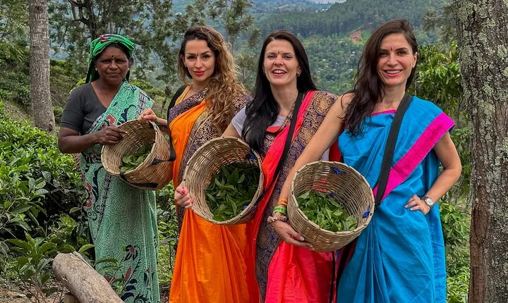 Tea Plantation Tour in Ella, Sri Lanka