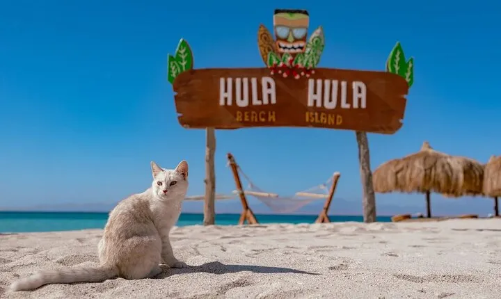 Hula Hula island Snorkeling Sea Trip, Lunch, Water Sport-Hurghada
