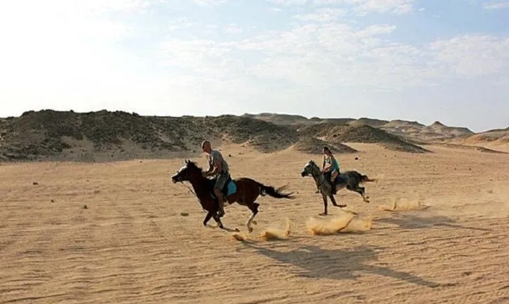 Horse Riding Experience & ATV Quad Safari– Sharm El Sheikh