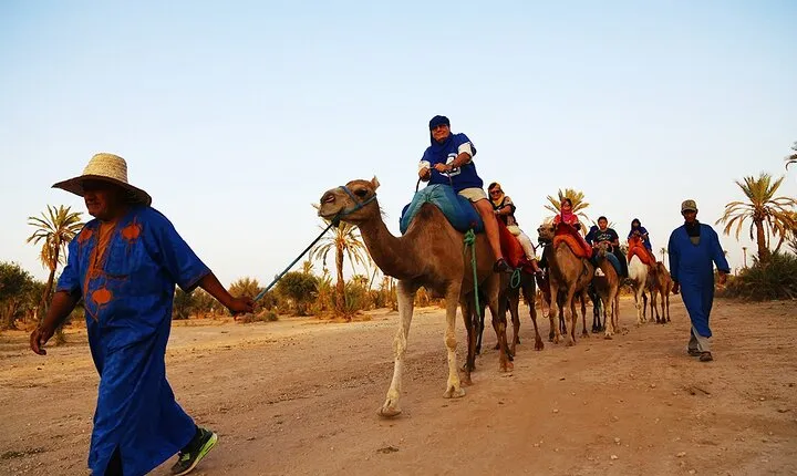 Camel ride + sunset + BBQ dinner in Agadir