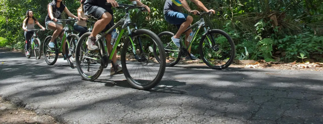 Bali Highlands Mountain Cycling