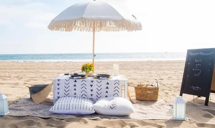 Classic Beach Picnic in Santa Monica 