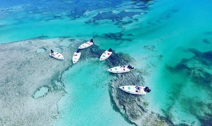 Key West Safari Eco Sandbar Tour Adventure with Snorkeling