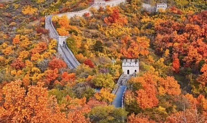 Mutianyu Great Wall and Forbidden City Private Tour with Lunch