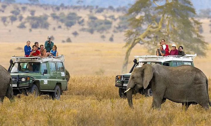 5 Days Nairobi Amboseli Tsavo West and Tsavo East National Park