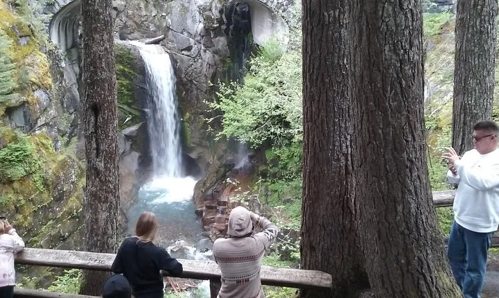 Mount Rainier Tour from Seattle
