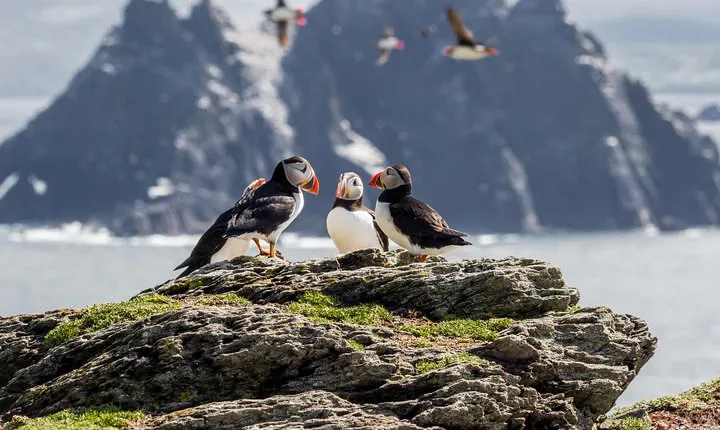 7-Day Ireland to Island Small Group Tour from Dublin 