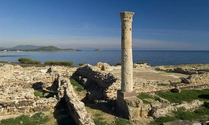 Cagliari: Nora Archaeological Site Private Experience from Chia